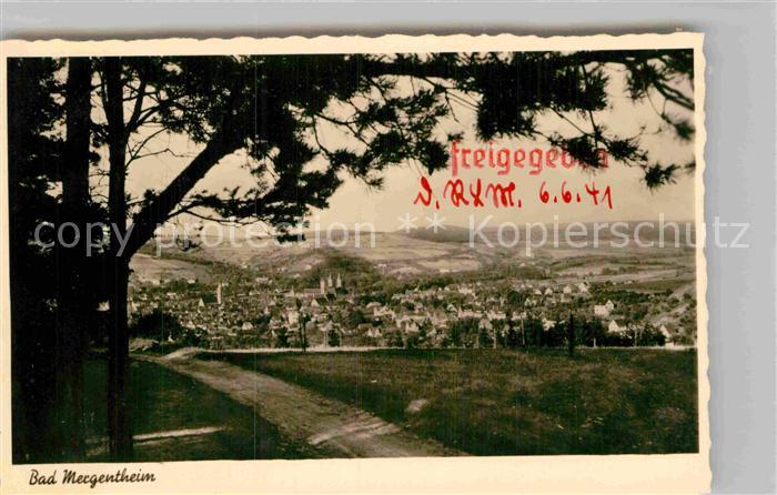 Mergentheim Bad Panorama