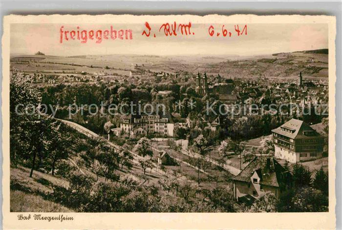 Mergentheim Bad Panorama