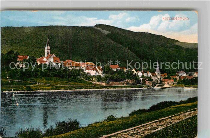 Neckargemuend Panorama