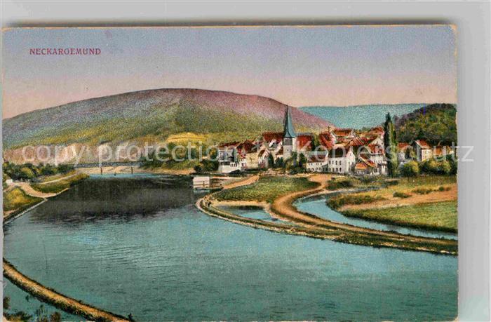 Neckargemuend Panorama