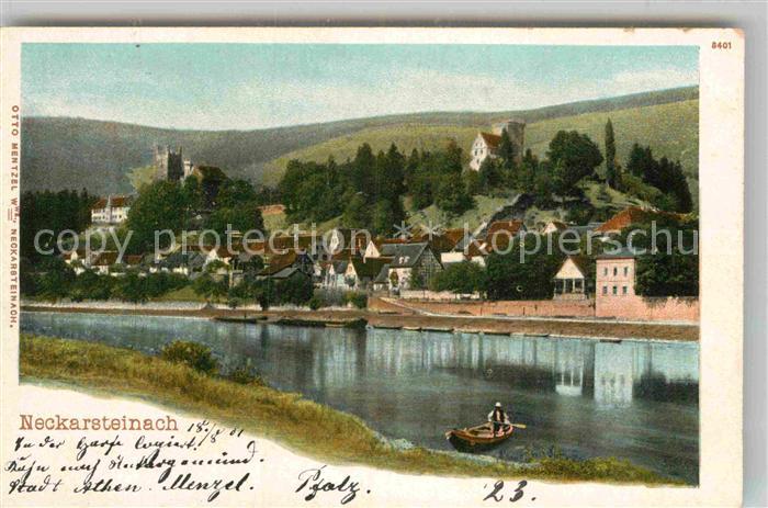 Neckarsteinach Panorama