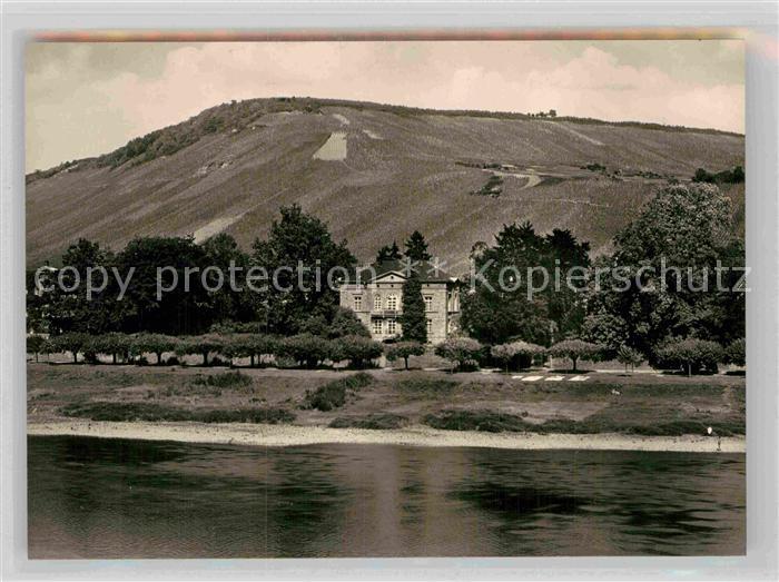Traben-Trarbach Weingut Huesgen