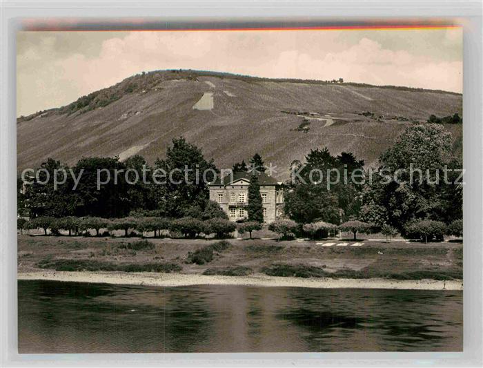 Traben-Trarbach Weingut Huesgen
