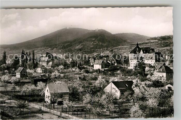 Bensheim Bergstrasse Auerbacher Schloss Melibokus