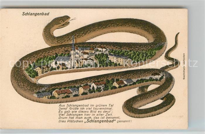 Schlangenbad Taunus Panorama Schlange Gedicht