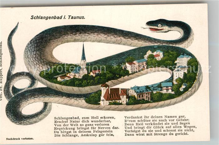Schlangenbad Taunus Panorama Schlange Gedicht