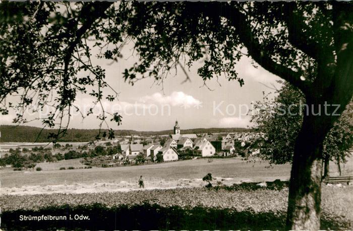 Struempfelbrunn Teilansicht