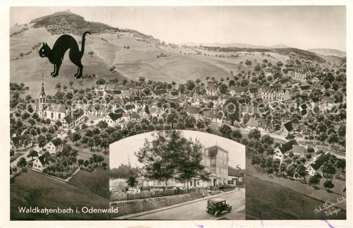 Waldkatzenbach Panorama Katzenbuckel