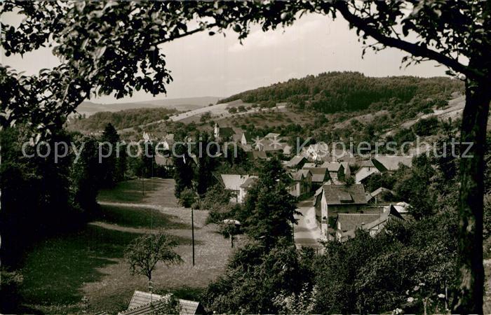 Weiher Odenwald Gasthof Pension zur Dorfschaenke
