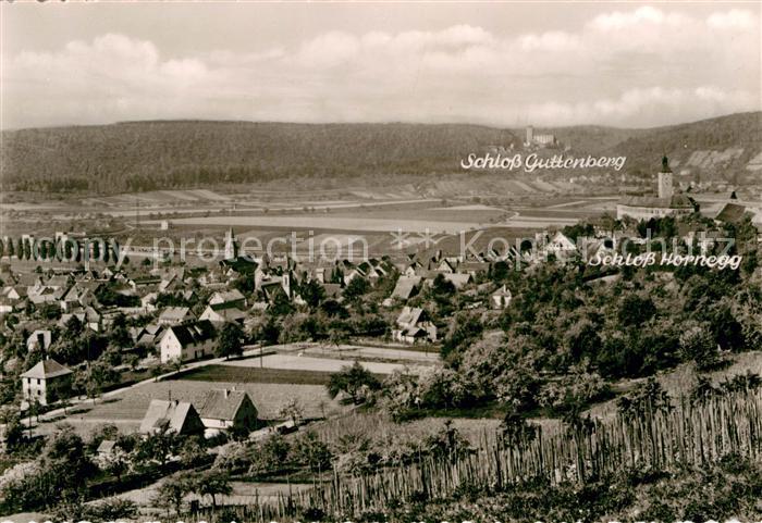 Gundelsheim Neckar Schloss Horneck und Schloss Guttenberg