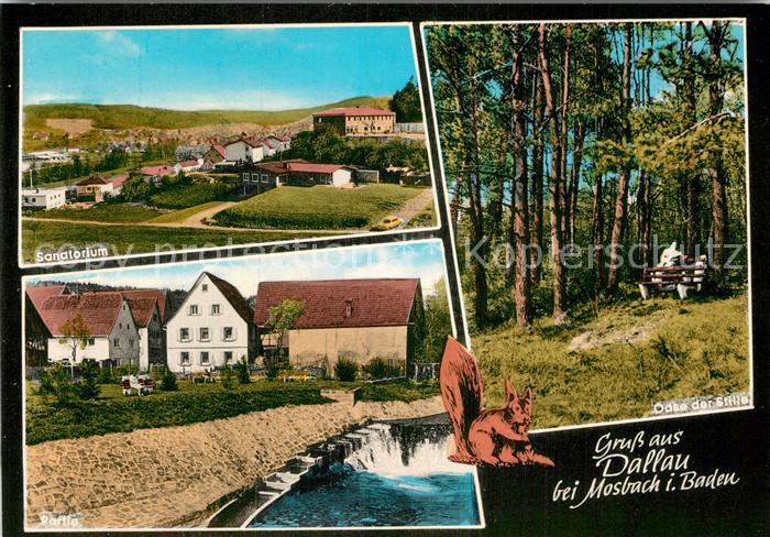 Dallau Teilansicht Oase der Stille Sanatorium