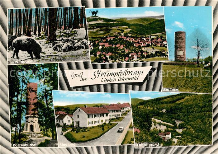 Struempfelbrunn Wildpark Katzenbuckel Siedlung Hoellgrund Teilansicht