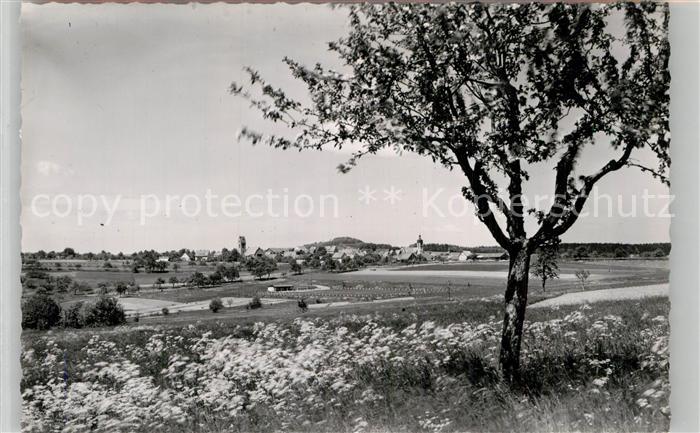 Struempfelbrunn Teilansicht