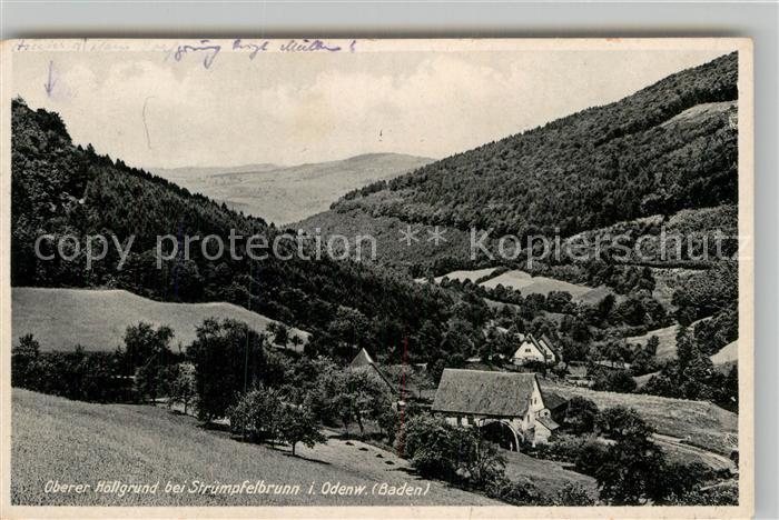 Struempfelbrunn Oberer Hoellgrund