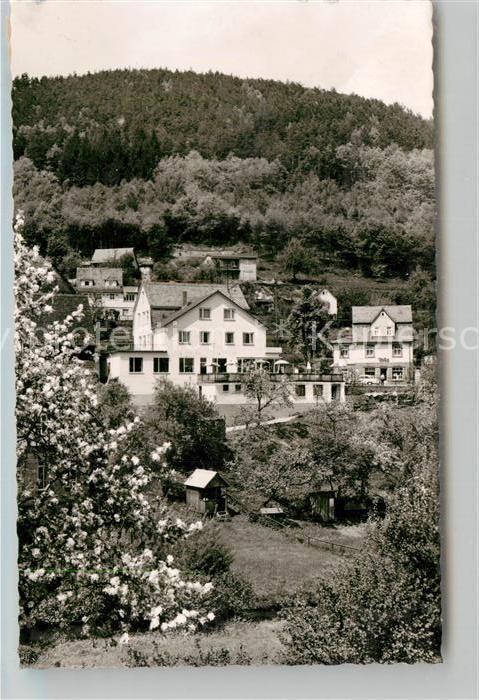 Langenthal Odenwald Gasthof Pension zur Linde