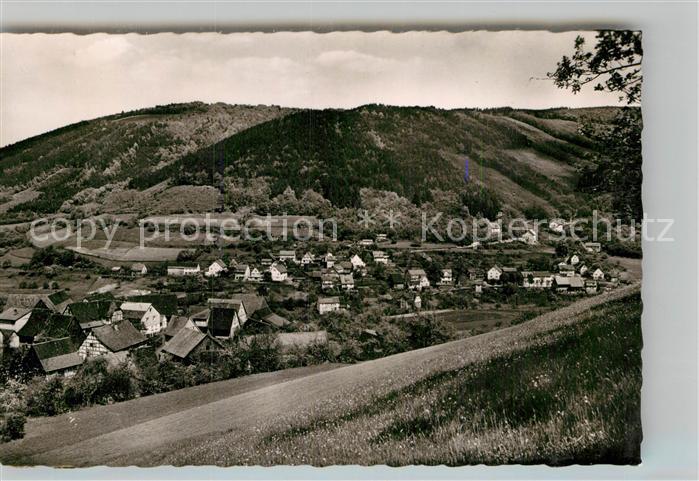 Langenthal Odenwald Teilansicht