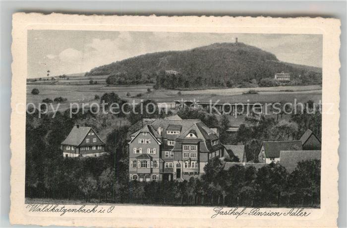 Waldkatzenbach Gasthof Pension Adler