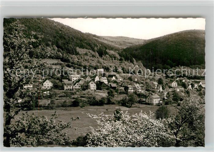 Langenthal Odenwald Gasthof Pension zur Linde