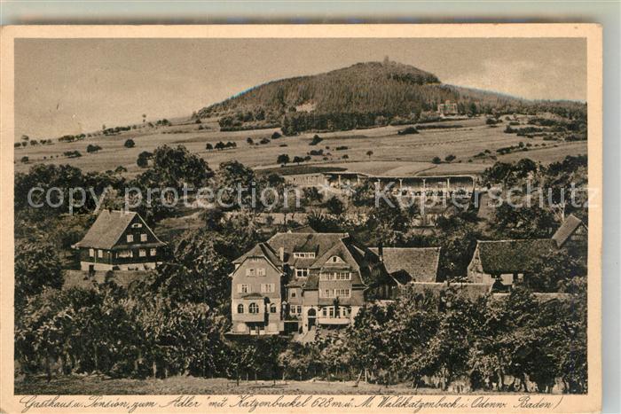 Waldkatzenbach Gasthof Pension Adler