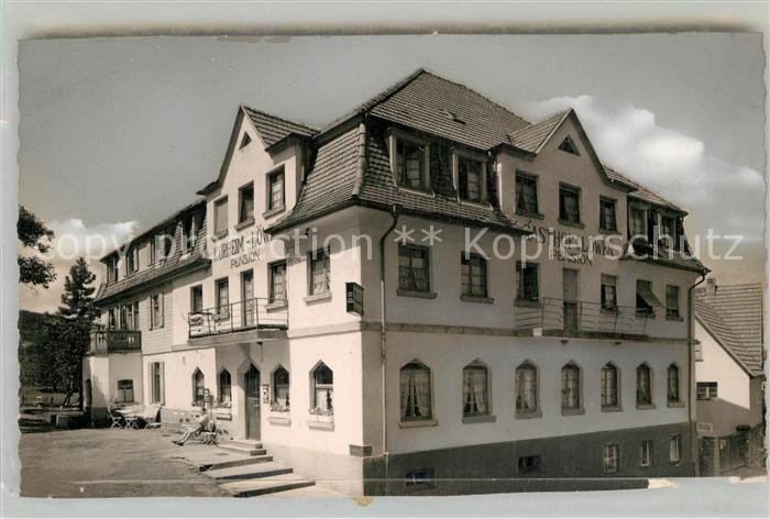 Waldkatzenbach Gasthof Pension zum Loewen