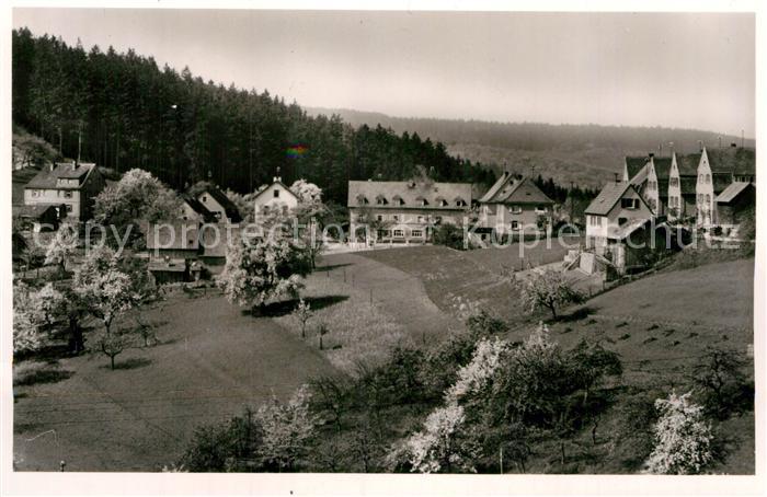 Wilhelmsfeld Panorama