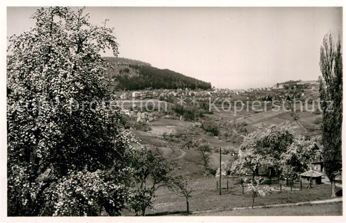 Wilhelmsfeld Panorama