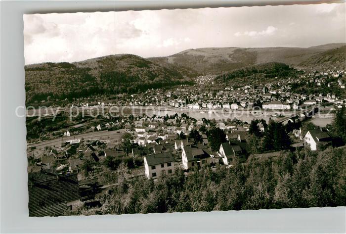 Eberbach Neckar Panorama
