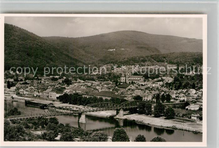 Eberbach Neckar Panorama