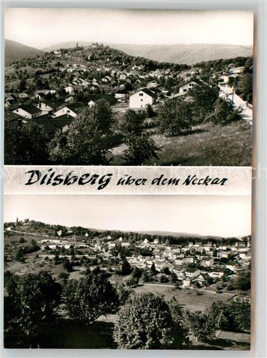 Dilsberg Panorama
