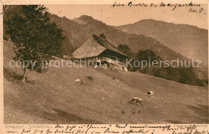 Verlag Elchlepp Nr. 23 Bergweide Schwarzwald Schwarzwaldhau