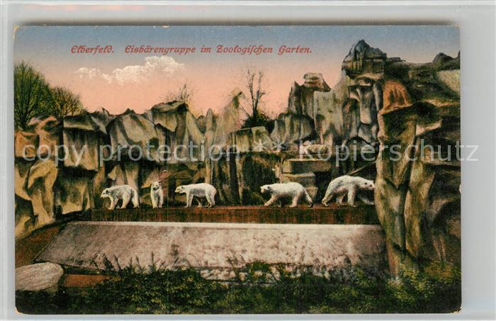 Eisbaer Zoo Wuppertal Elberfeld