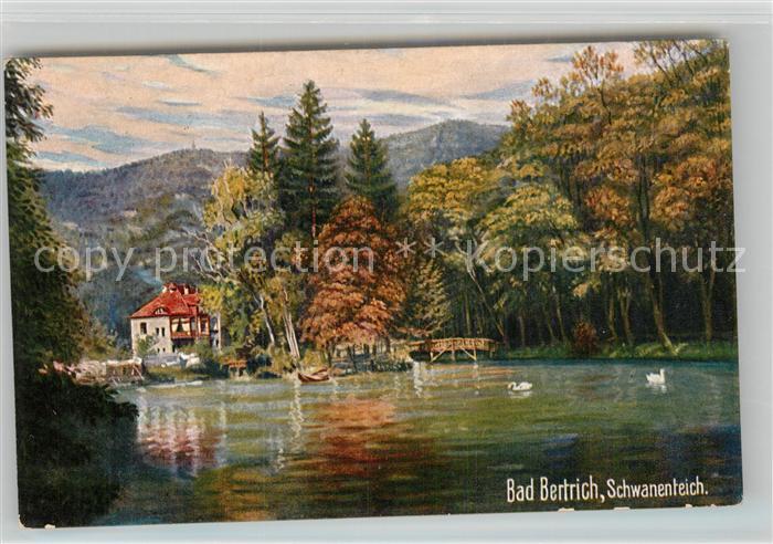 Verlag Wiedemann WIRO Nr. 2036 A Bad Bertrich Schwanenteich