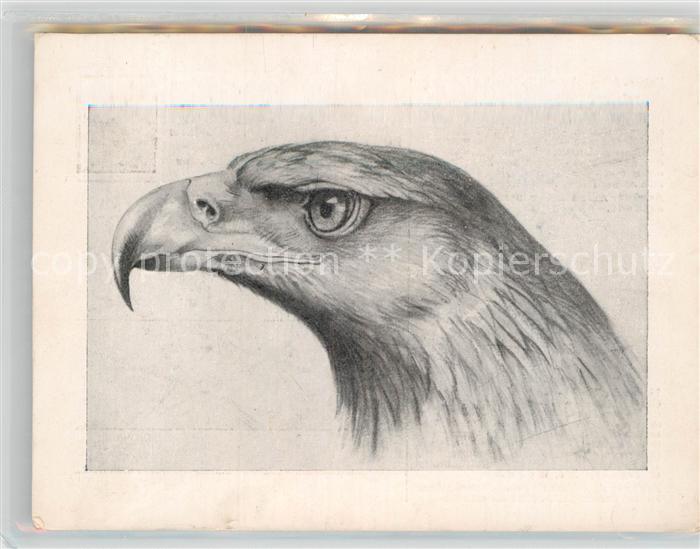 Adler Eagle Aigle Aguila Kaiser-Adler Yank General Eisenhower