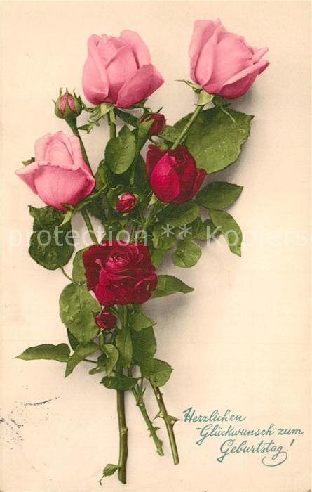 Rosen Geburtstag