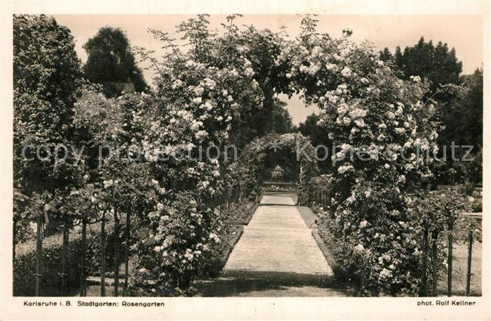 Foto Kellner Rolf Nr. 874 Karlsruhe Stadtgarten Rosengarten