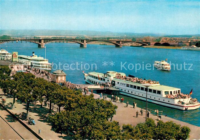 Motorschiffe Main Rheinbrücke