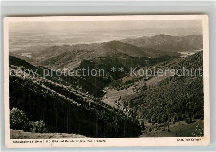 Foto Kellner Rolf Nr. 6701 Schauinsland Kapplertal Rheintal F