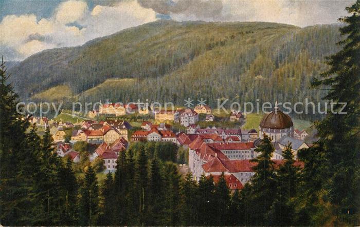 St Blasien Teilansicht