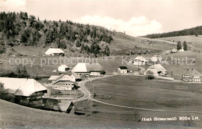 Ibach St Blasien Panorama
