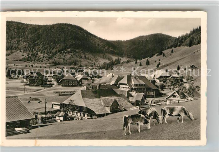 Menzenschwand Teilansicht