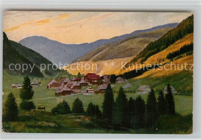 Menzenschwand Teilansicht