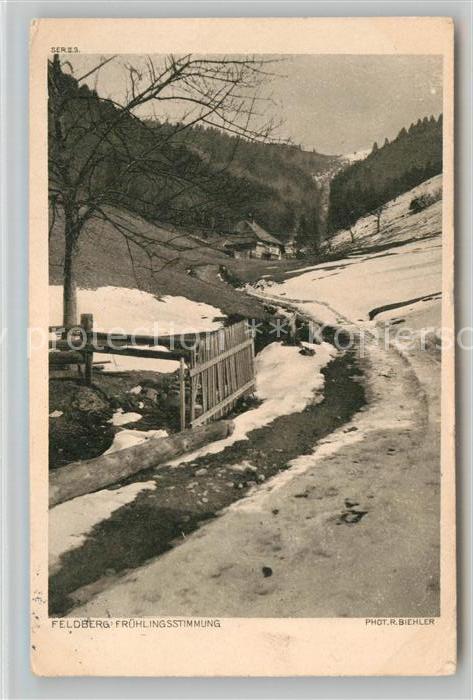 Menzenschwand Fruehlingsstimmung