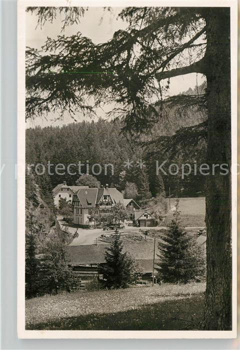 Bonndorf Schwarzwald Steinasaege