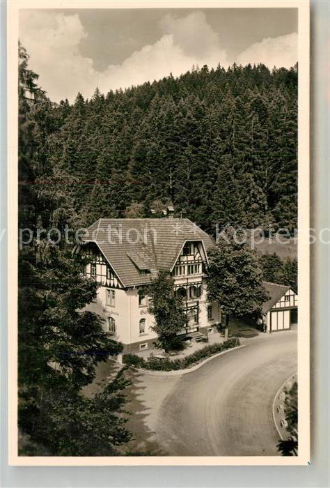 Bonndorf Schwarzwald Gasthof Pension Steinasaege