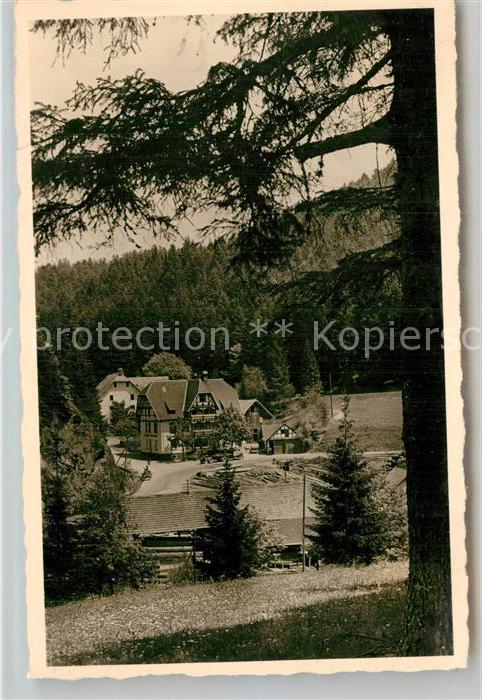 Bonndorf Schwarzwald Gasthof Pension Steinasaege