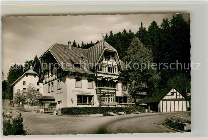 Bonndorf Schwarzwald Gasthof Pension Steinasaege