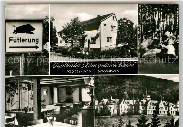 Hesselbach Odenwald Gasthaus Zum Gruenen Baum