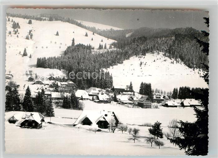 Haeusern Schwarzwald Panorama