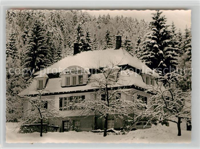 Kutterau St Blasien Pension Waldesruh