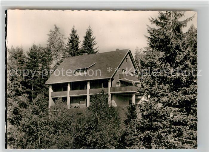 Baerental Feldberg Waldhaus Caroline